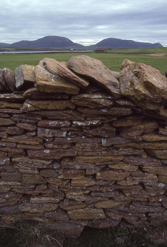WT 363-19 UK Orkney Is.jpg